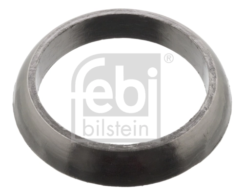 Seal Ring, charger